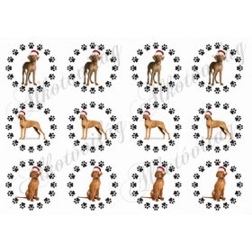 Tappancsos körök MIKULÁSSAPKÁS vizsla kutyusokkal