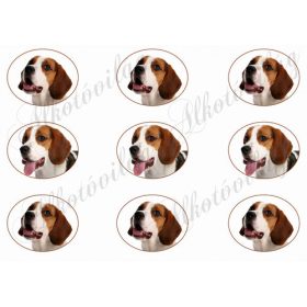Beagle kutyusok oválisokban