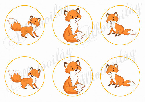 Háromféle róka körökben