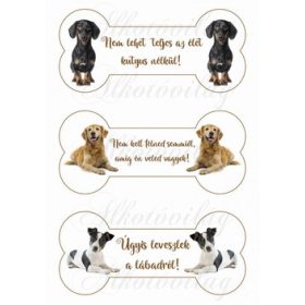   Tüneményes kutyusok csontokban feliratokkal - Tacskó, gondlen retriever, jakc russel