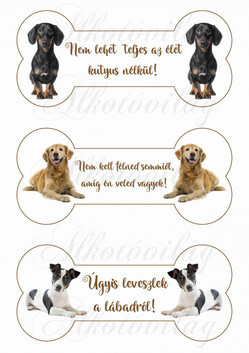 Tüneményes kutyusok csontokban feliratokkal - Tacskó, gondlen retriever, jakc russel