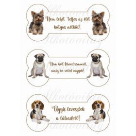   Tüneményes kutyusok csontokban feliratokkal - Yorki, mopsz, beagle
