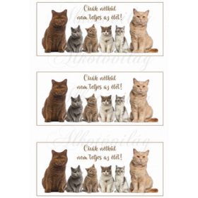 Cicák nélkül nem teljes az élet- bögrepalást