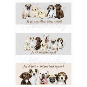 Tüneményes kutyacsapat feliratokkal bögrepalásthoz