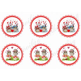 Szerelmes bagolypárok Valentin napra