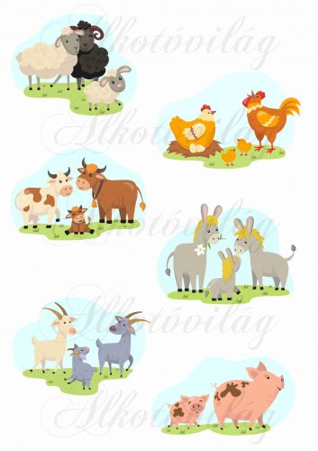 Háziállatok- bárány, tyúk, kecske, malac, tehén, szamár