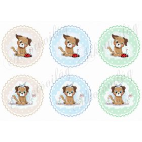 Cuki kutyusok katicával és virággal