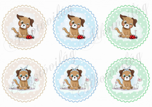 Cuki kutyusok katicával és virággal