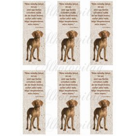 Könyvjelzők magyar vizsla kutyusokkal idézettel