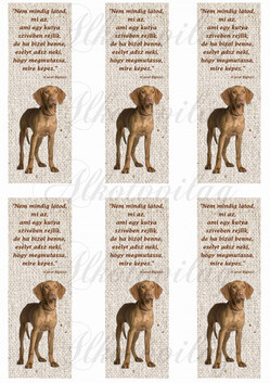 Könyvjelzők magyar vizsla kutyusokkal idézettel