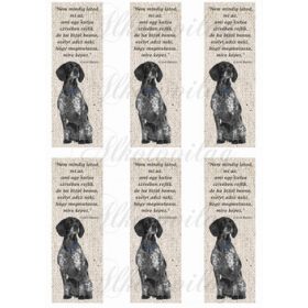 Könyvjelzők német vizsla kutyusokkal idézettel