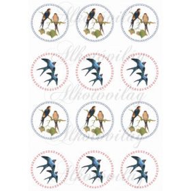 Kézzel festett fecskék varrott szélű körökben KICSIBEN