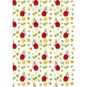 Katicák margarétákkal és cuki csigabigákkal