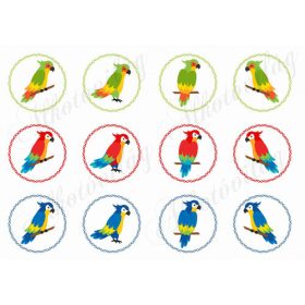 Papagájok körökben