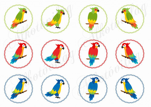 Papagájok körökben