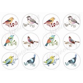 Kézzel festett csodás madárkák körökben