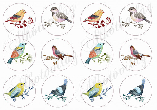 Kézzel festett csodás madárkák körökben