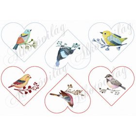 Kézzel festett csodás madárkák szívekben