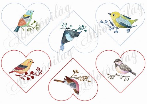 Kézzel festett csodás madárkák szívekben