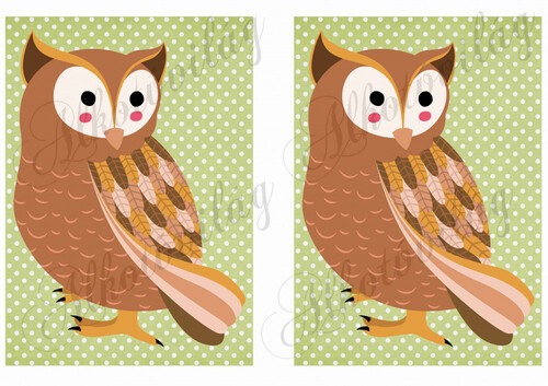 Állatsereg - Baglyok