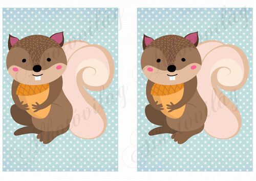 Állatsereg - Mókusok