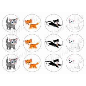 Cicák több színben körökben