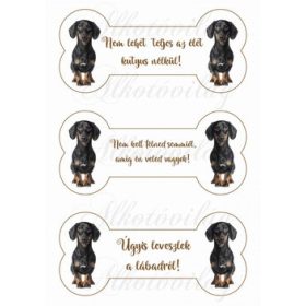 TÜNEMÉNYES TACSKÓK CSONTOKBAN FELIRATOKKAL