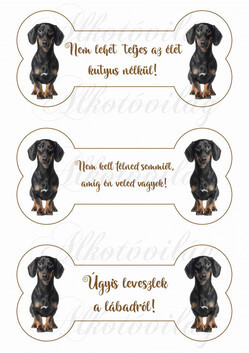 TÜNEMÉNYES TACSKÓK CSONTOKBAN FELIRATOKKAL