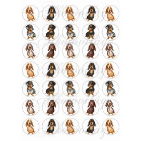 Vicces tacskók 3,5 cm-es körökben