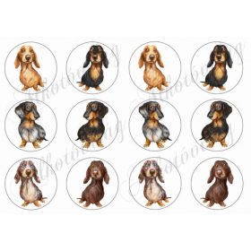 Vicces tacskók körökben