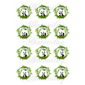 Pandák bambuszos körökben