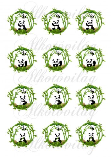 Pandák bambuszos körökben