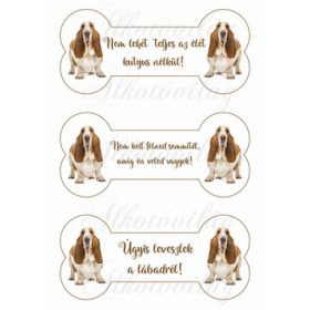 Basset hound kutyusok csontokban feliratokkal