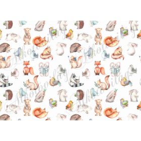 KÉZZEL FESTETT ÁLLATKÁK ÉS KISMADARAK - FEKVŐBEN