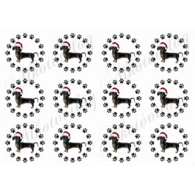 Cuki fekete tacskók tappancsos körökben mikulássapkában