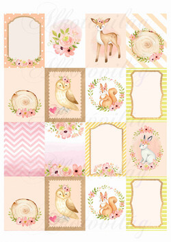 Az erdő állatai - Kézzel festett cuki kártyák 2