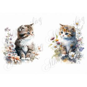 Cuki akvarell stílusban festett cicák virágokkal 2