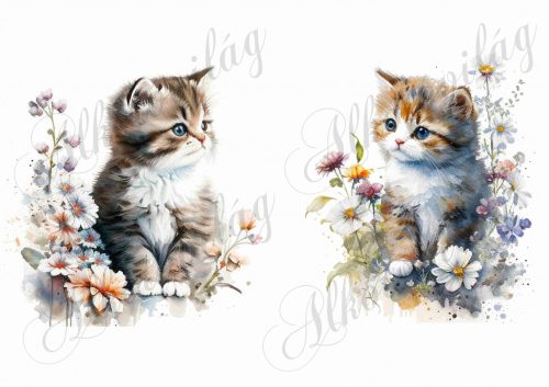 Cuki akvarell stílusban festett cicák virágokkal 2