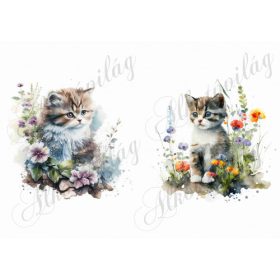 Cuki akvarell stílusban festett cicák virágokkal