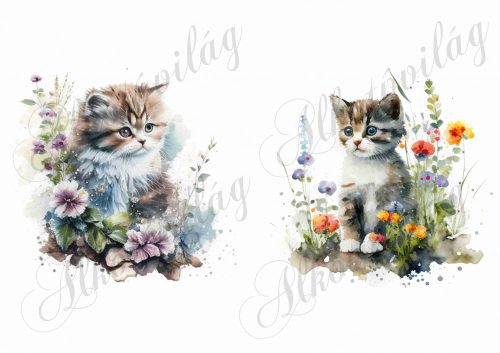 Cuki akvarell stílusban festett cicák virágokkal