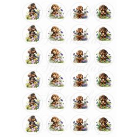   Cuki tacskó kutyusok körökben tavaszi virágokkal - MINIBEN