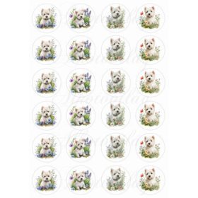 Westie kutyusok körökben tavaszi virágokkal- MINIBEN