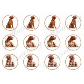 Bordói dog csavart körökben- 5,5 cm