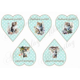   Cuki cicák virágokkal pöttyös szíveken - UNOKÁMNAK SZERETETTEL FELIRATAL