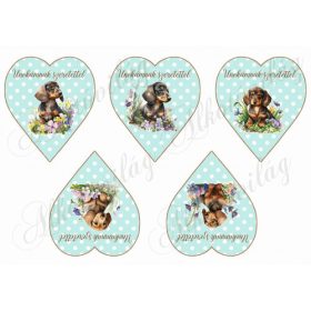   Cuki tacskó kutyusok virágokkal pöttyös szíveken - UNOKÁMNAK SZERETETTEL FELIRATAL