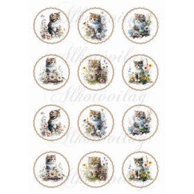 Cuki cicák virágokkal csavart körökben KICSIBEN