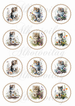 Cuki cicák virágokkal csavart körökben KICSIBEN