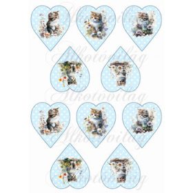 Cuki cicák virágokkal pöttyös szíveken - KICSIBEN