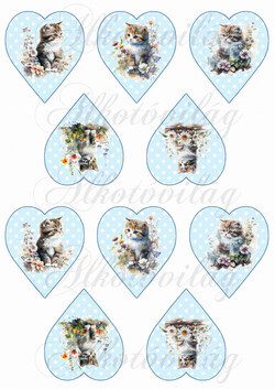 Cuki cicák virágokkal pöttyös szíveken - KICSIBEN