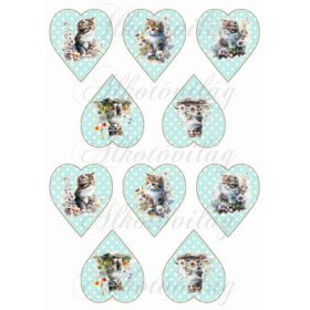 Cuki cicák virágokkal pöttyös szíveken - ZÖLD KICSI